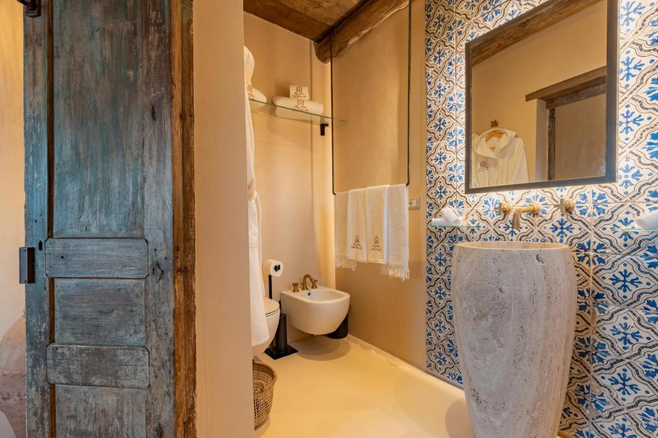 Alma Domus Ancient House Recently Opened