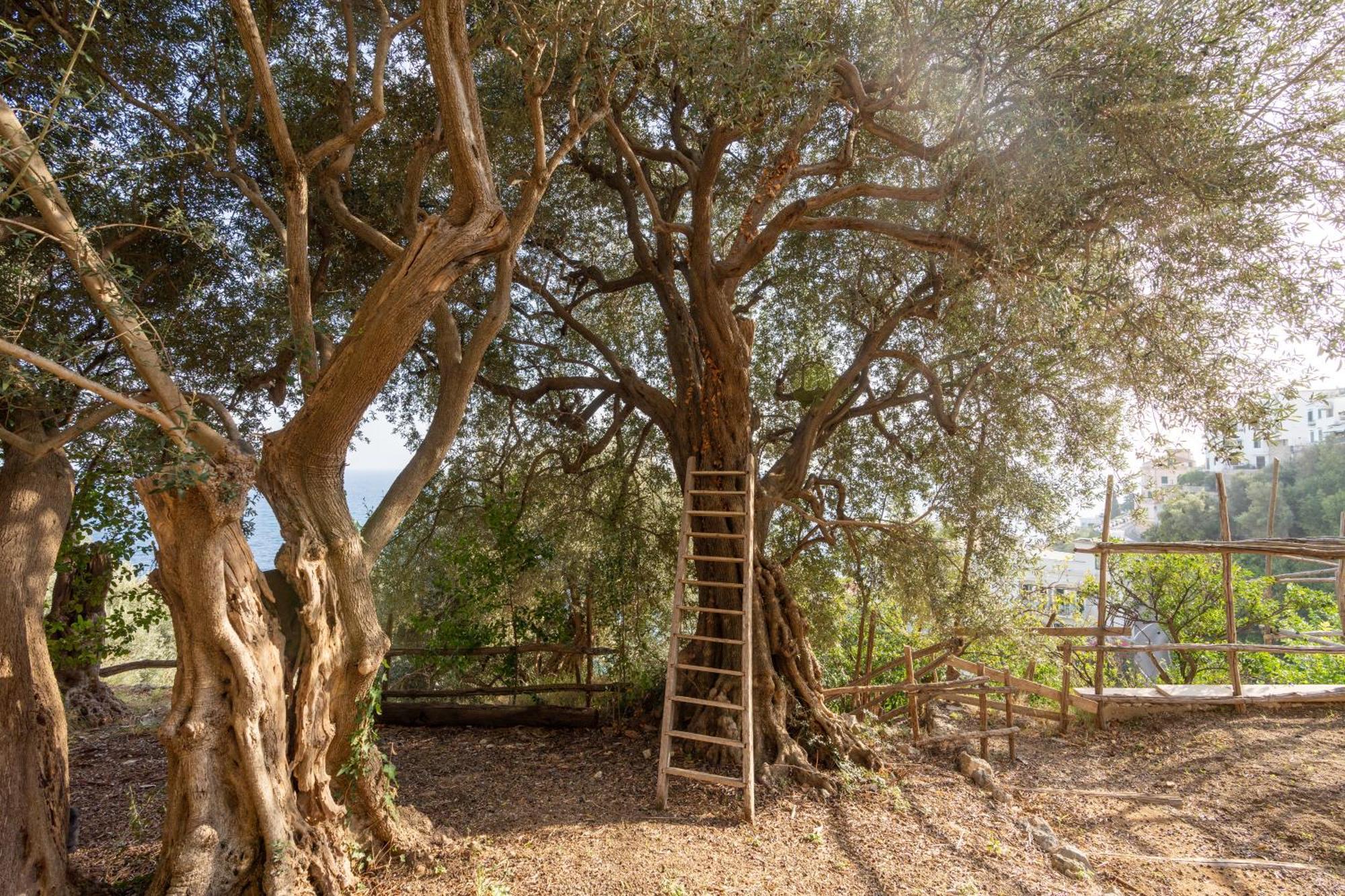 Appartamento Alma Domus Ancient House Recently Opened *
