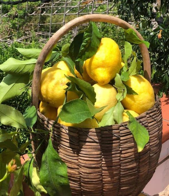 Alma Domus Ancient House Recently Opened Appartamento Amalfi